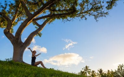 Signs of a Healthy Tree