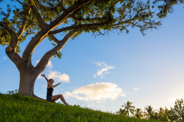 Signs of a Healthy Tree